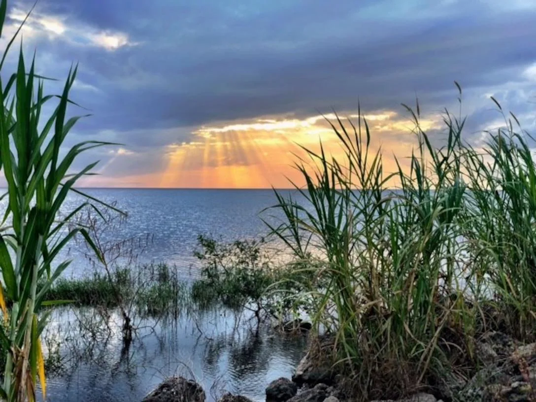 Sunbeams over the water
